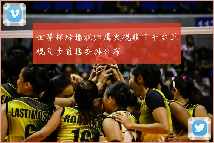 世界杯转播权归属央视旗下平台卫视同步直播安排公布
